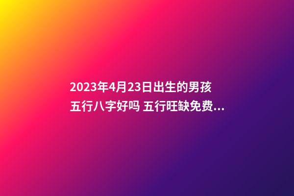 2023年4月23日出生的男孩五行八字好吗 五行旺缺免费起名字